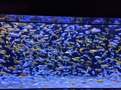 -成都浩海立方海洋公园