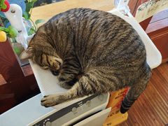 -HUG COFFEE(鼓楼店)