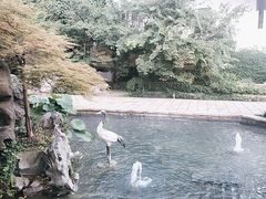 -广富林宰相府酒店·水云间