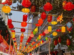 -越秀西湖花市(广州城市广场花卉店)