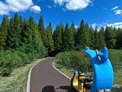 -黄海国家森林公园