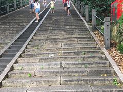 -上海佘山国家森林公园西佘山园