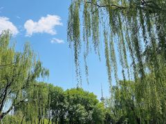 -玲珑塔公园