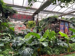 -呀路古热带植物园