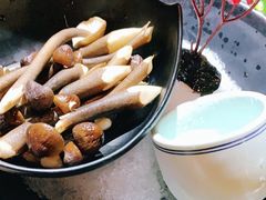 -探窝·竹笙椰子鸡(杨箕店)