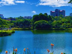 -厦门大学(思明校区)