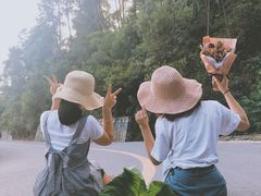 -铁山坪森林公园