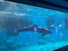 -福州罗源湾海洋世界旅游区