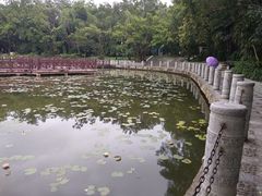 -南宁南湖公园