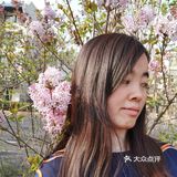 一生心事为花忙 花儿们怒放中