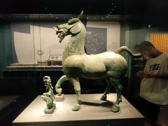 -广西壮族自治区博物馆