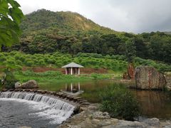 -广州市石门国家森林公园