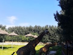 -石家庄市动物园