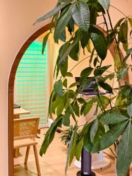 -小颜秘家·韩国整骨