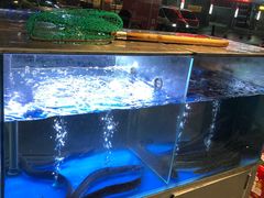 水产区-本炙炭烤·蒲烧活鳗料理店(金沙洲店)