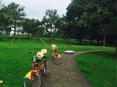 -福建鲤鱼洲酒店