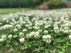 -阳澄湖半岛旅游度假区