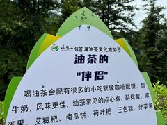 -姑婆山旅游区