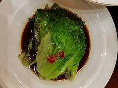 -鲁宴·鲁煨黄河生态大鲤鱼(月坛店)