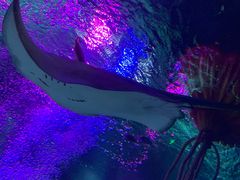 -沈阳海洋探索中心