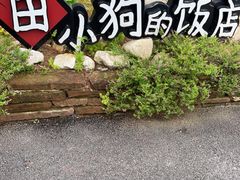 -田小狗的饭店(才子佳郡店)