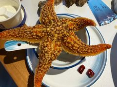 -渔港甄宴·海鲜·地标烟台菜(金沙滩店)