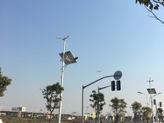 -龙大花卉苗木市场