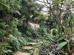-南山植物园