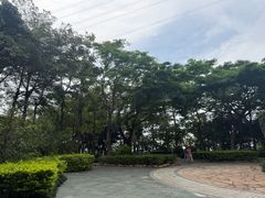 -小南山公园