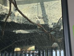 -武汉动物园