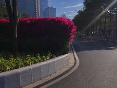 -海心沙亚运公园