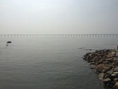 -宝安西湾红树林湿地公园