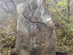 -北京上方山国家森林公园