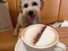 -Common Table · Brunch & Coffee