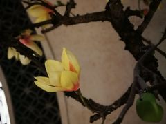 -杭州平安悦坊 PAFC LIVING