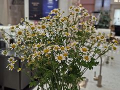 -1/4 ONE QUARTER COFFEE LAB(朝阳大悦城店)
