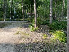 -合肥滨湖国家森林公园