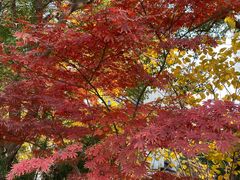 -上海园林（集团）有限公司总部办公楼