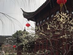 -檀园