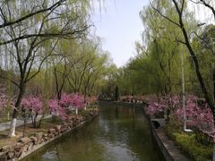 -宝鸡植物园