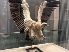-青藏高原自然博物馆