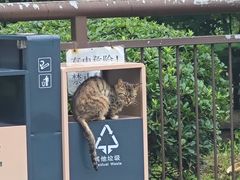-武汉动物园