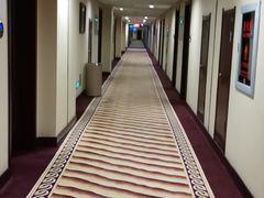 -金水鹤温泉国际酒店