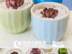 -绿城奇妙园双语日托(华茂悦峰园区)