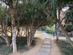 -环城公园-琥珀潭