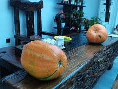 -缘福乡村铁锅炖民宿(八达岭店)