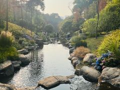 -云溪植物园
