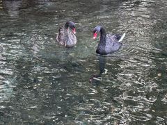 -水磨沟公园