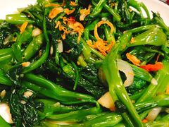 飞天空心菜-苏梅花园(群星城店)