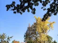 -上海孙中山故居纪念馆